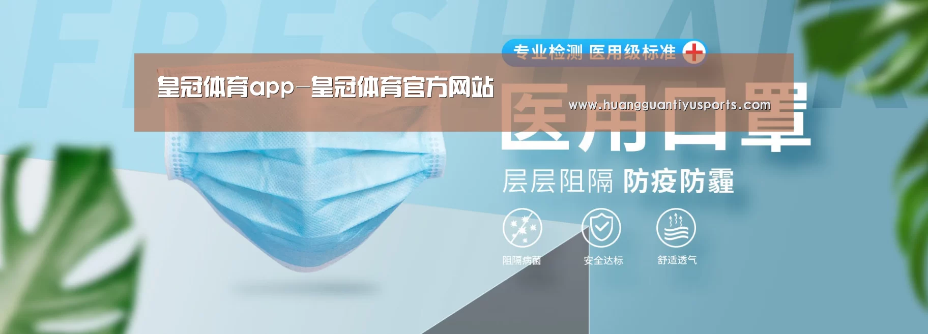 某某口罩防护用品有限公司