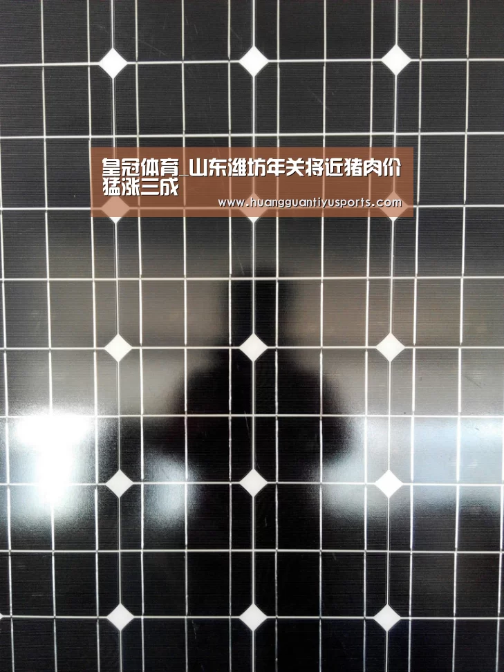 皇冠体育_山东潍坊年关将近猪肉价猛涨三成(图4) 皇冠体育官网